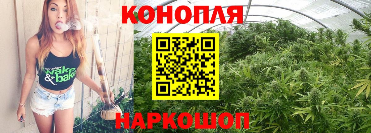 Шишки марихуана марихуана Миллерово